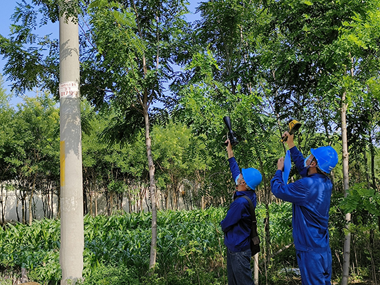 工作人員進(jìn)行紅外測(cè)溫及超聲波局部放電檢測(cè)。 王亮攝