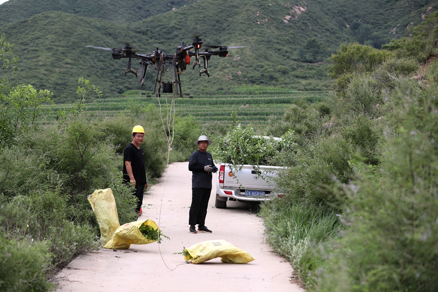 在石家莊市井陘縣吳家窯鄉(xiāng)長峪村荒山造林現(xiàn)場，一名無人機手操控無人機運輸樹苗。王保龍攝