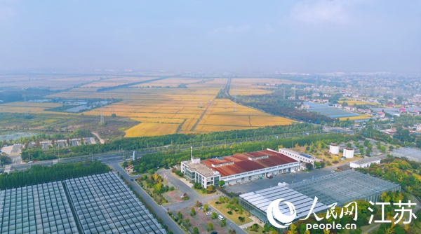 位于幸福街道的“萬(wàn)頃良田”。人民網(wǎng)記者 王繼亮攝