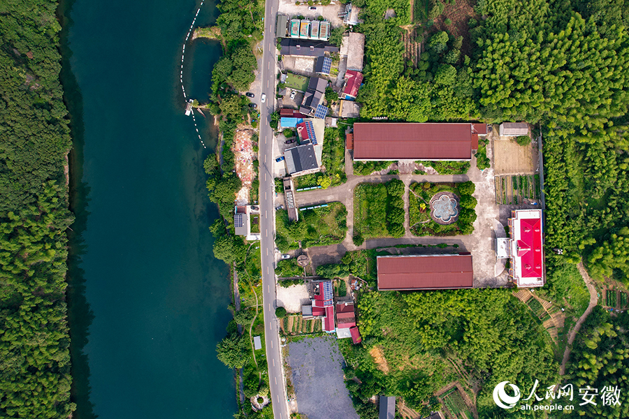 儲(chǔ)家灘民宿區(qū)。人民網(wǎng)記者 苗子健攝