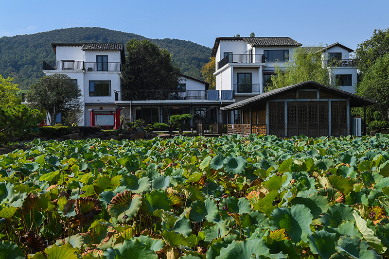 雨悅山房負(fù)責(zé)人原來在馬達(dá)加斯加打理酒店，之所以“從馬達(dá)加斯加到肥東”，源于對(duì)家鄉(xiāng)民宿前景看好。吳芳攝