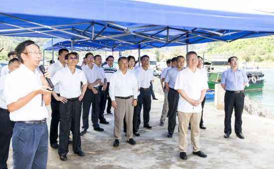 2019年6月21日上午，省長沈曉明率省政府班子成員在三亞鐵爐港調(diào)研項目規(guī)劃建設(shè)情況。海南日報記者 宋國強 攝
