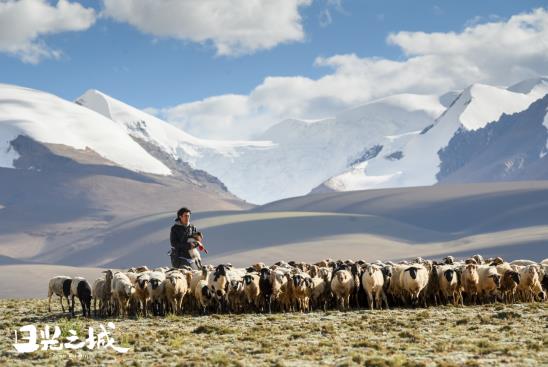 治愈你的不止曠野，更是真實的生活