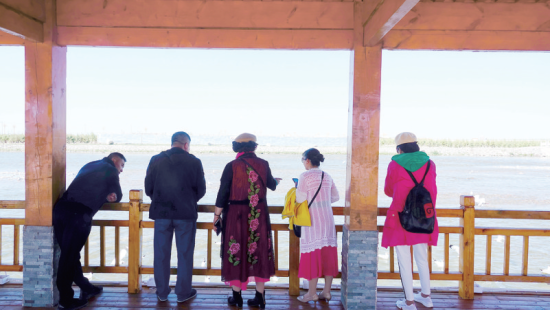 湟魚洄游奇觀吸引游人。