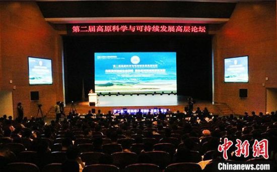 圖為論壇現(xiàn)場。　孫?！z