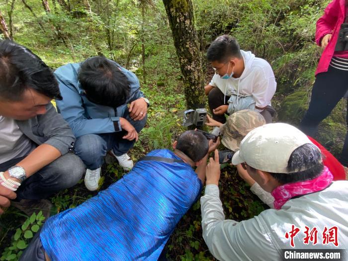 圖為訪客正在查看紅外相機(jī)中的拍攝畫(huà)面。　李江寧 攝