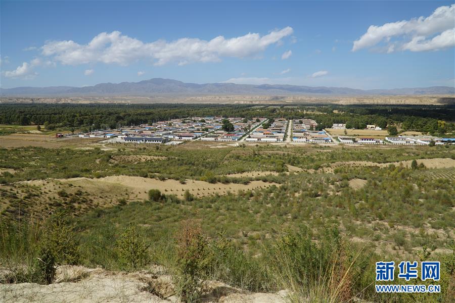（決戰(zhàn)決勝脫貧攻堅·圖文互動）（2）高原鄉(xiāng)鎮(zhèn)沙珠玉 治沙斗貧成“綠?！薄嗪Ｊ」埠涂h沙珠玉鄉(xiāng)采訪見聞
