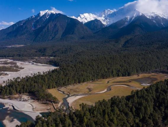資料圖：西藏崗云杉林與遠處的雪峰。 何蓬磊 攝