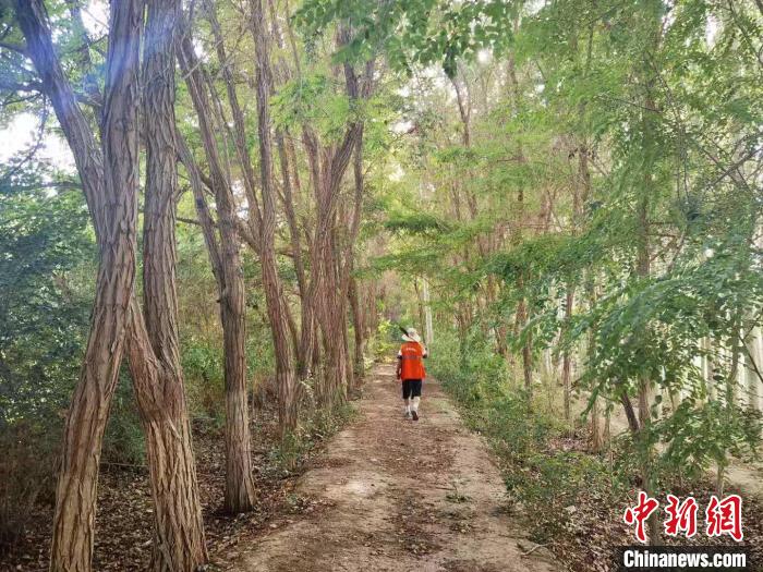 戈壁灘上的護林員：以前風吹睜不開眼，現(xiàn)在滿眼皆綠色