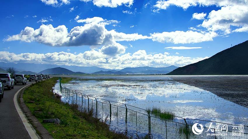 納帕海濕地。呂昊辰攝