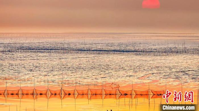 江蘇鹽城被譽(yù)為金灘銀蕩、魚(yú)米之鄉(xiāng)。　鹽城市委宣傳部供圖