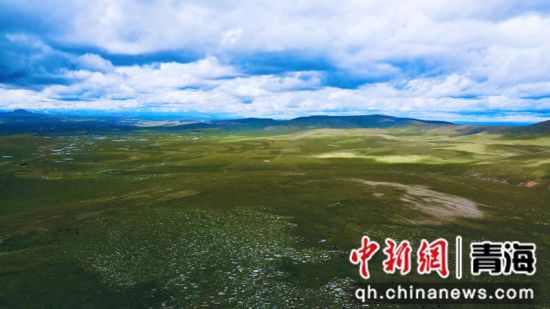 圖為長江南源沼澤濕地。李江寧攝