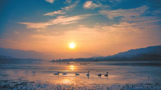 黃河冬之晨。