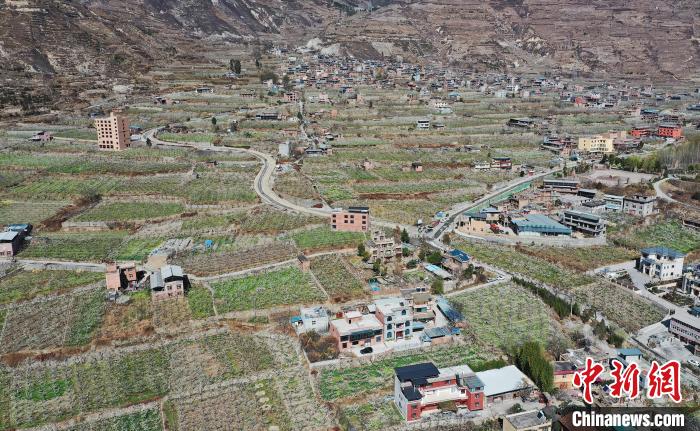 潔白的李花與村寨交相輝映，勾勒出一幅美麗的和諧生態(tài)畫卷?！『吻搴?攝