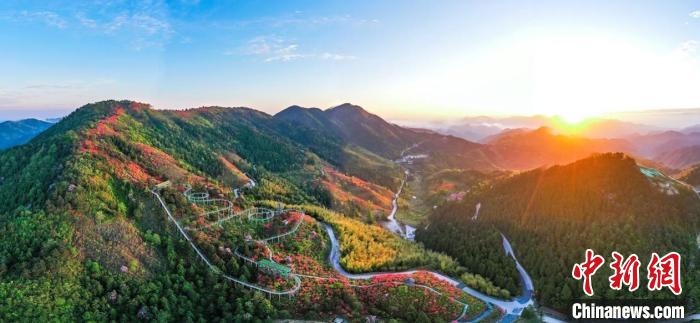 “杜鵑花癡”助民眾端起“生態(tài)碗”:綠水青山引客來(lái)