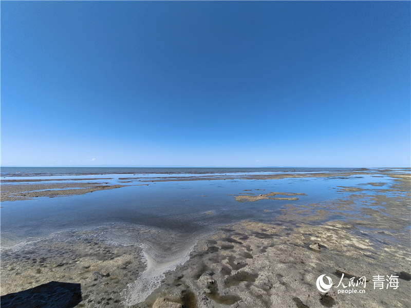   青海湖仙女灣。人民網(wǎng) 張莉萍攝