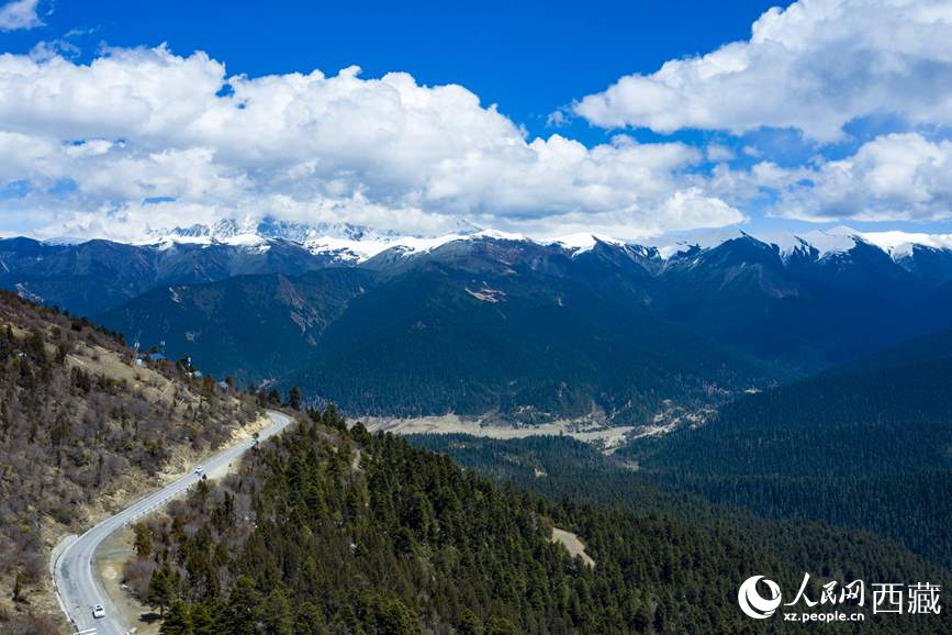 圖為在海拔4700多米的色季拉山，觀測從森林到草甸的多種植被類型。