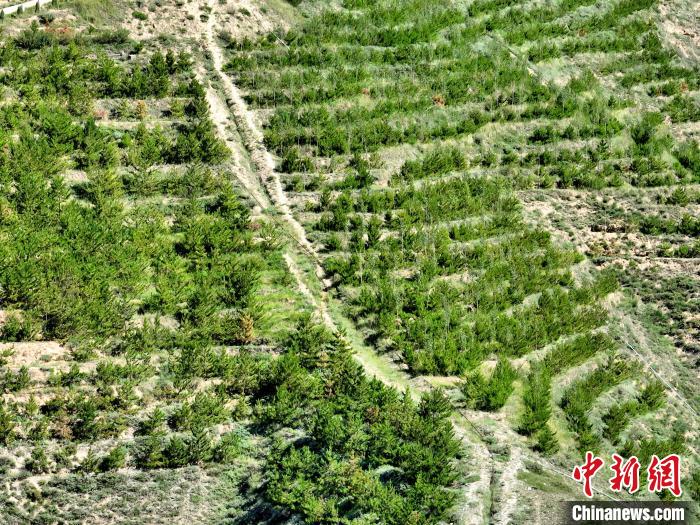 航拍建行青海省分行綠化區(qū)?！∑钤鲚?攝