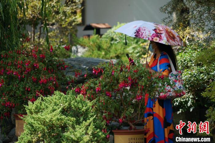 圖為市民在西寧園林植物園內(nèi)賞花拍照?！●R銘言 攝