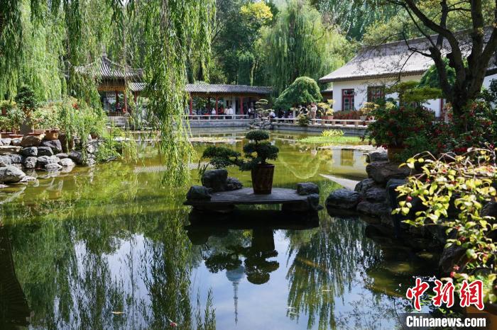 圖為西寧園林植物園秋日風景別有韻味?！●R銘言 攝