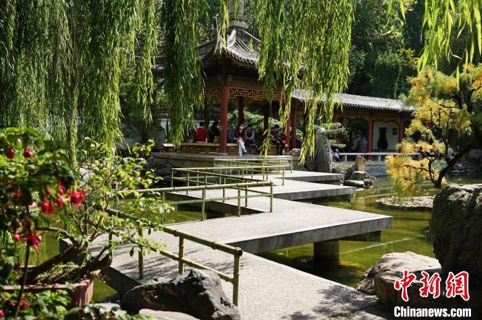 圖為西寧園林植物園秋日風景別有韻味。　馬銘言 攝