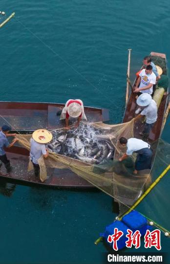 捕魚(yú)現(xiàn)場(chǎng)?！≈鬓k方供圖