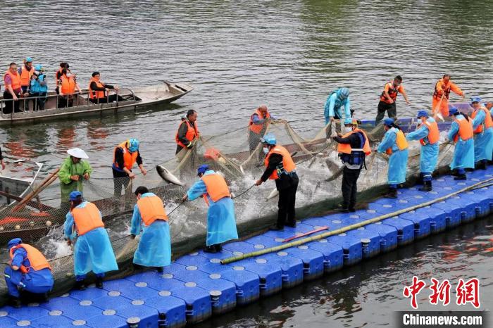 捕撈現(xiàn)場(chǎng)?！≈鬓k方供圖