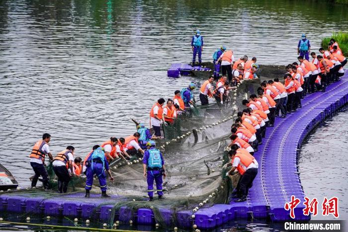 捕撈現(xiàn)場(chǎng)?！≈鬓k方供圖