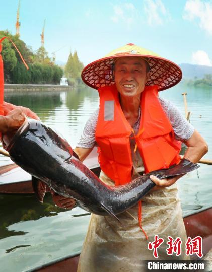 工作人員展示捕撈成果?！≈鬓k方供圖