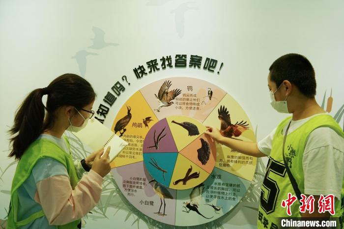 圖為小朋友在青海西寧湟水國家濕地公園科普館內(nèi)參觀學(xué)習(xí)?！●R銘言 攝