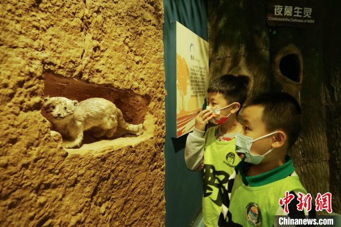 圖為小朋友在青海西寧湟水國家濕地公園科普館內(nèi)參觀學(xué)習(xí)?！●R銘言 攝
