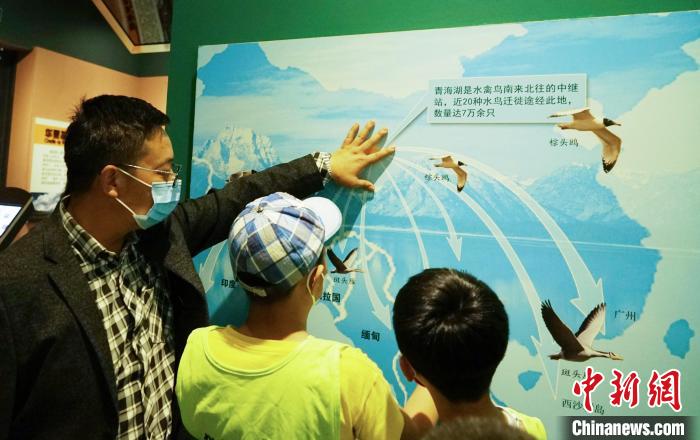 圖為小朋友在青海西寧湟水國家濕地公園科普館內(nèi)參觀學(xué)習(xí)?！●R銘言 攝