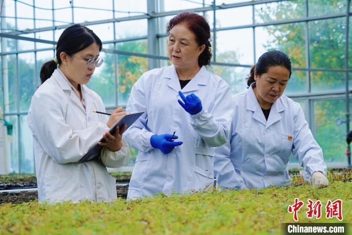 圖為張錦梅(中)與同事在討論數據。馬銘言 攝