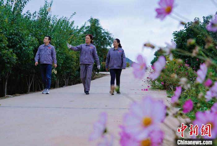 圖為張錦梅(中)與同事在西寧北山查看丁香樹。　馬銘言 攝