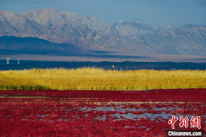 圖為柴達(dá)木盆地可魯克湖?！」?攝