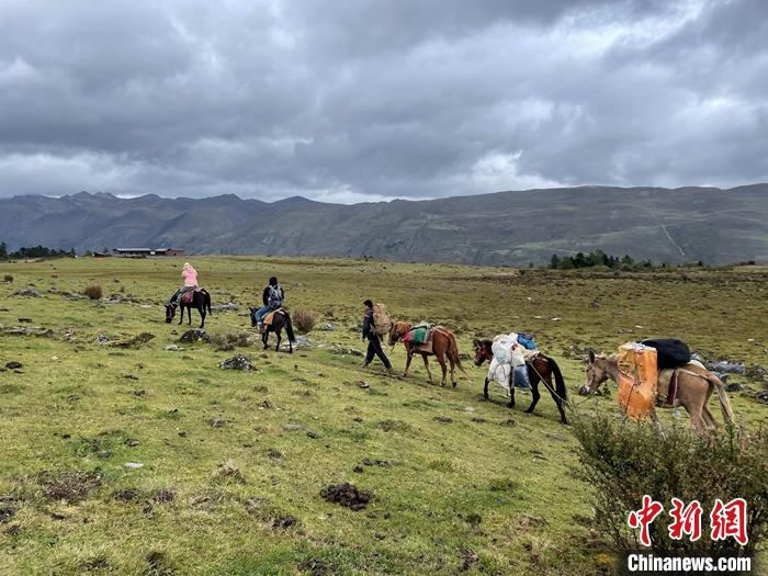 圖為9月26日游客騎馬領(lǐng)略尼汝村高原牧場風(fēng)光。 <a target='_blank' href='/'><p  align=