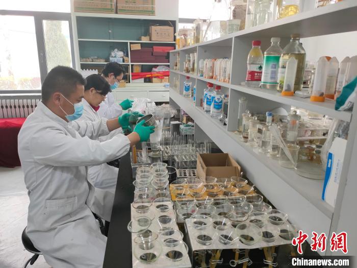 資料圖為研究團(tuán)隊(duì)進(jìn)行樣本檢查?！?青海省畜牧獸醫(yī)科學(xué)院供圖