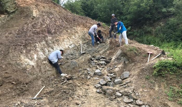 2018年玉海翼角魚(yú)野外發(fā)掘采集現(xiàn)場(chǎng)?！∩w志琨 攝