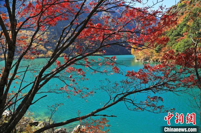 松坪溝風(fēng)光。　何清海 攝