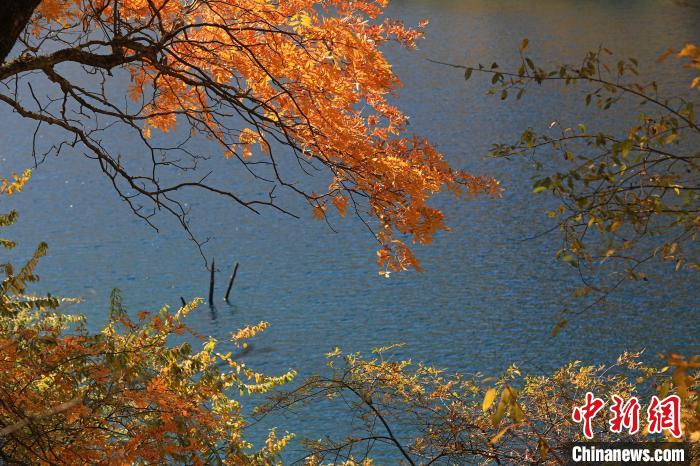 松坪溝風(fēng)光?！⑼?攝