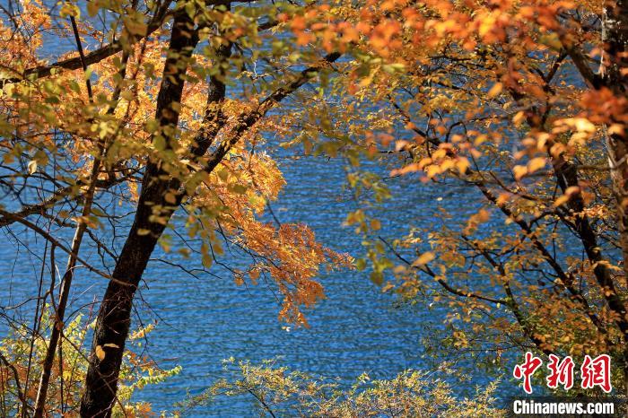 松坪溝風(fēng)光?！⑼?攝