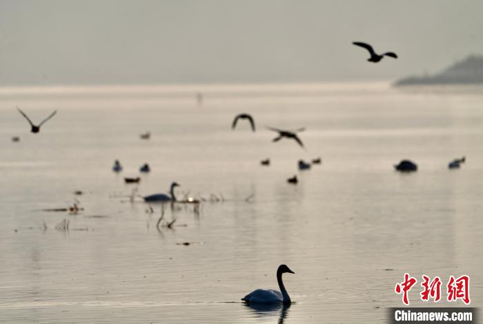 青海自然資源領(lǐng)域:構(gòu)建具有青藏高原特色生態(tài)產(chǎn)品價(jià)值實(shí)現(xiàn)路徑
