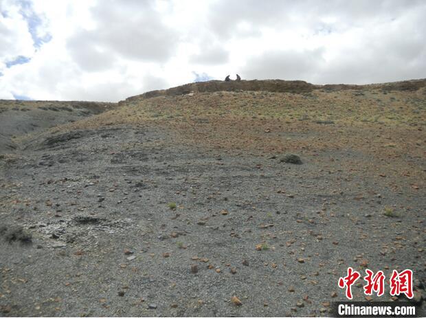 圖為本次研究的藏南曲布剖面二疊紀末期黑色頁巖?！∧瞎潘?供圖