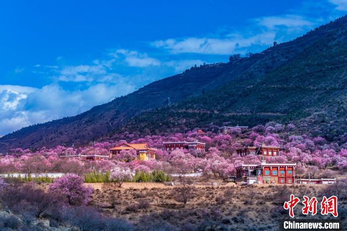 美麗的鄉(xiāng)村畫卷?！『涡秀?攝