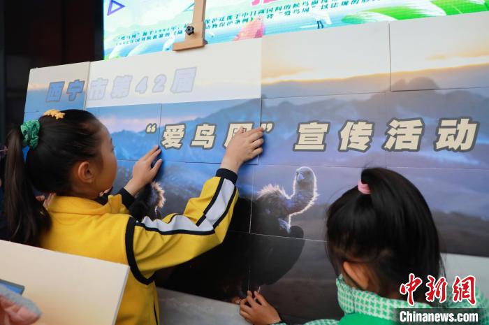 圖為學(xué)生通過(guò)拼圖游戲了解鳥(niǎo)類知識(shí)?！●R銘言 攝