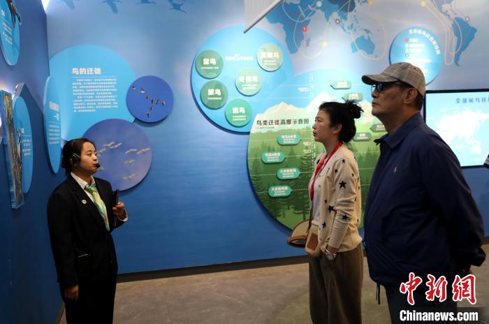 圖為臺商在祁連山國家公園生態(tài)科普館內(nèi)聆聽講解?！⊙Φ?攝