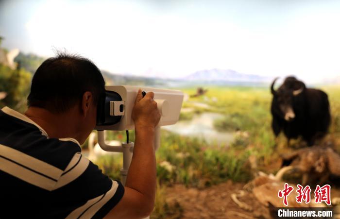 圖為臺商觀看祁連山國家公園生態(tài)科普館內(nèi)生態(tài)場景?！⊙Φ?攝
