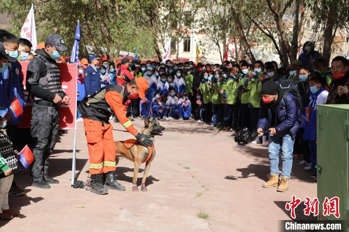 圖為搜救犬服從和箱體搜救演練?！≮w琳 攝