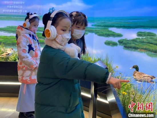 圖為學(xué)生在西寧市第一中學(xué)濕地科普宣教館內(nèi)參觀?！±罱瓕?攝