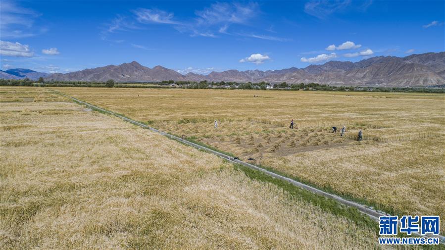 （新華全媒頭條·走向我們的小康生活·圖文互動(dòng)）（11）扎西德勒，我們的新家園——西藏易地扶貧搬遷搬出幸福美好新生活